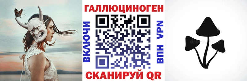 мега как зайти  наркошоп  Мурино  Псилоцибиновые грибы Magic Shrooms 