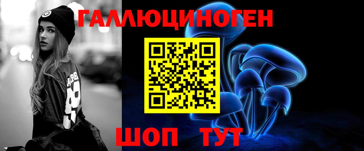 купить  цена  Вход с VPN  Галлюциногенные грибы GOLDEN TEACHER  Мурино  Псилоцибиновые грибы ЛСД 